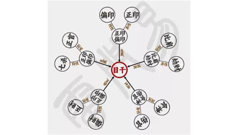 我生者為食傷|命理基礎知識梳理06：十神定位，六親關系、事業財祿。